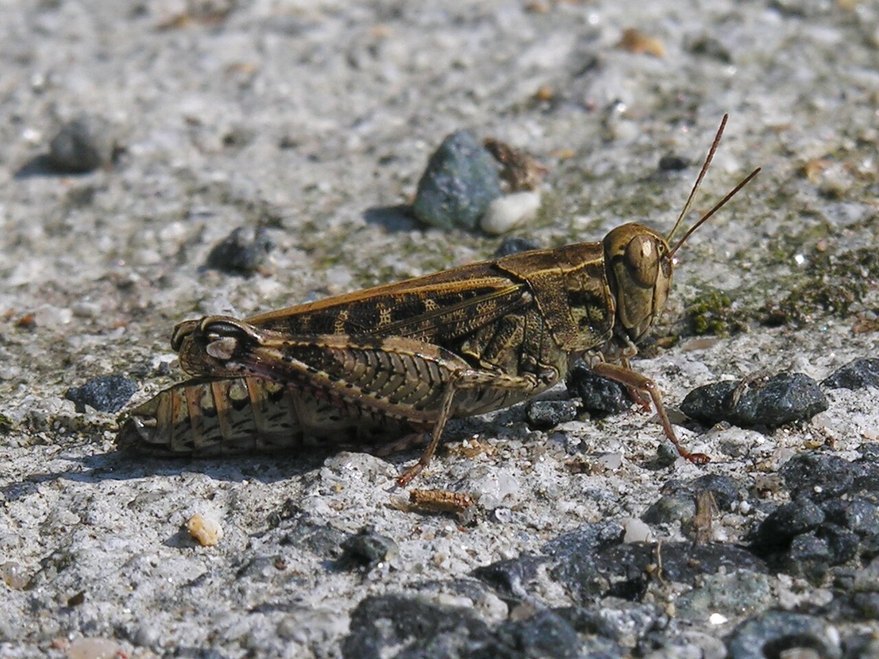 Bursa Çekirge Kaplıcaları fotoğrafı
