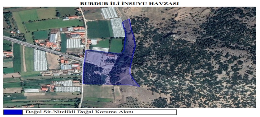 İnsuyu Kaplıcası kaplıca fotoğrafı 3